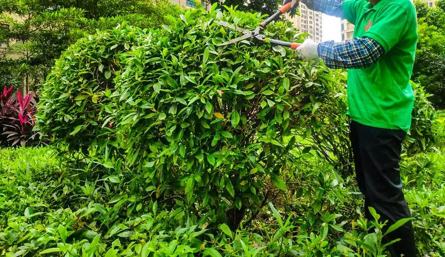 米乐：25寸少年网球拍价格多少