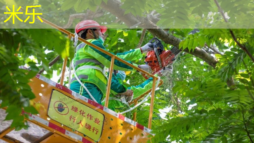 mile米乐m6官网：网球拍硬线与软线的区别