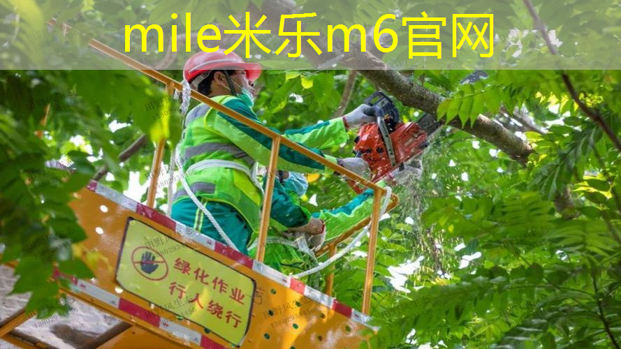 mile米乐m6官网：网球拍原装底胶拆不拆