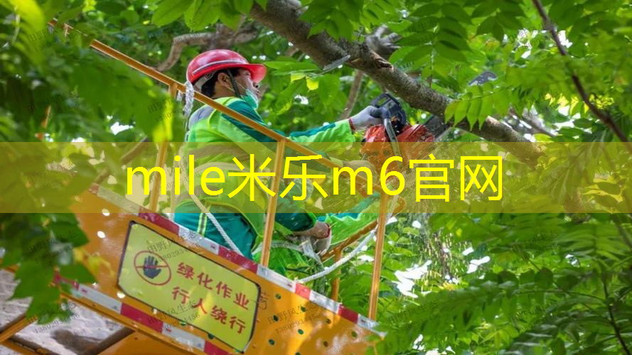 米乐m6官网：乒乓球台子用什么油漆最好