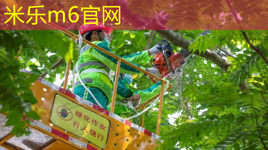米乐m6官网登录入口：全塑型塑胶跑道的特性介绍