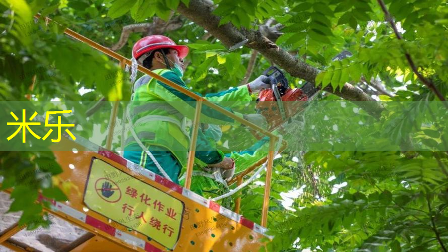 夏季室内男士健身衣