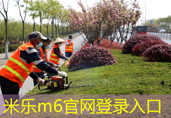 米乐m6官网登录入口：运动员最爱的秘诀，塑胶跑道材料如何实现弹性和舒适的平衡？