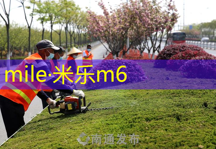 米乐m6官网：丰富家庭生活的魅力之处：如何正确种植绿化草坪？