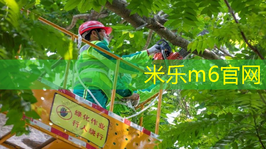 米乐m6官网：室内健身半小时