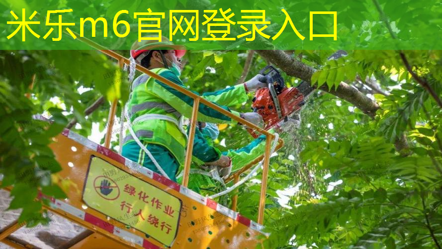 专业网球拍为什么套袋子