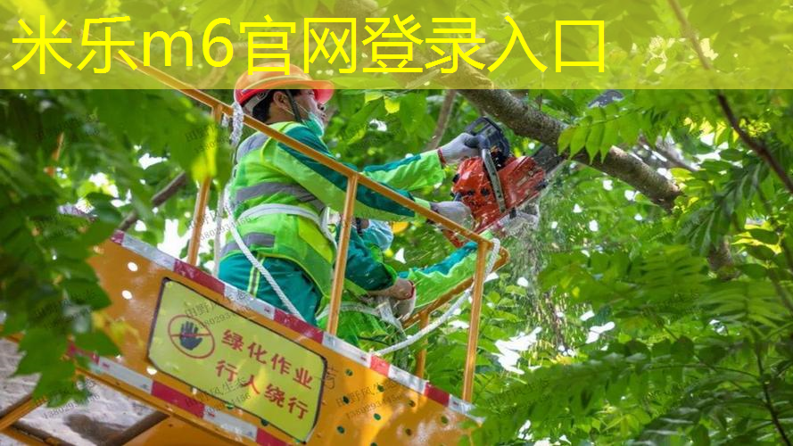 网球拍硬线与软线的区别