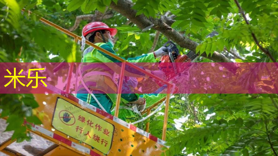 乒乓球台子用什么油漆最好