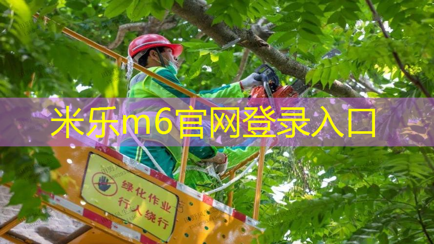 全塑型塑胶跑道的特性介绍