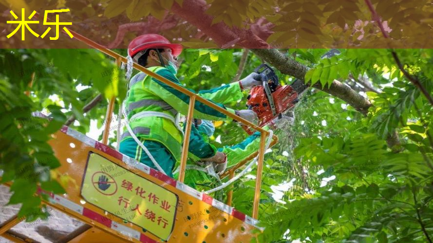 室内无器材健身操