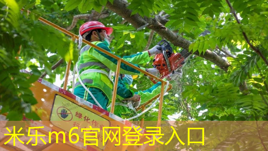 儿童篮球训练热身器材