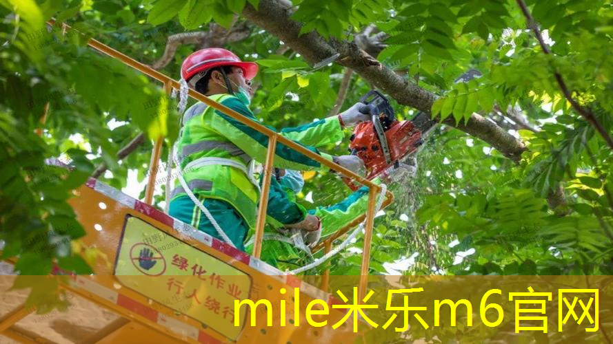 健身环室内