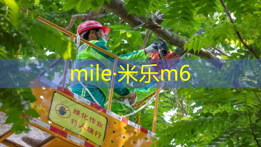 夏季室内男士健身衣