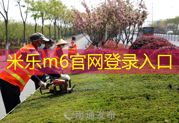 如何正确进行单杠引体向上训练？