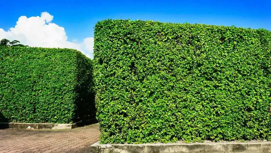 恩施学校用足球体育器材