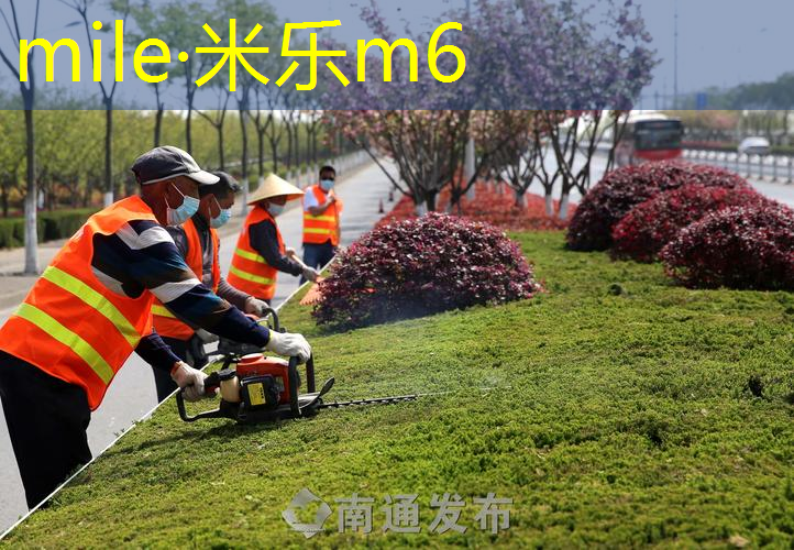 运动员最爱的秘诀，塑胶跑道材料如何实现弹性和舒适的平衡？