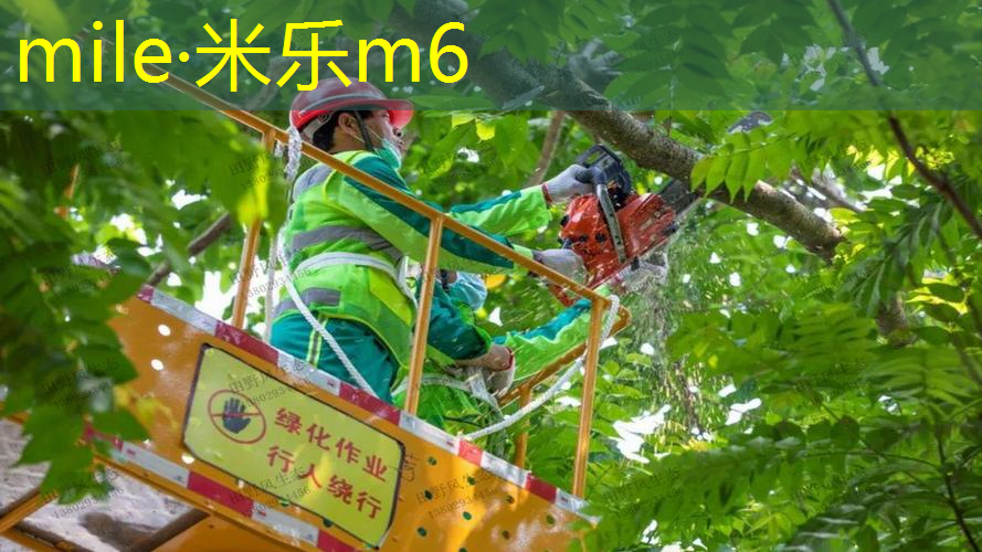 室内健身半小时