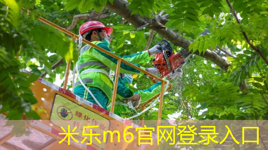 全面分析！单杠和双杠的特点、优势对比解读！